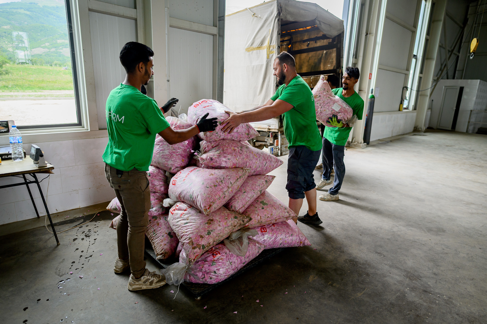 Bioform organic fields